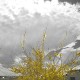 80693/23115/72780/70411_thumb.jpg