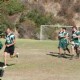 80693/24521/54181/45842_thumb.jpg
