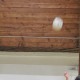 80693/30116/01568/81787_thumb.jpg