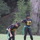 80693/30116/51440/16151_thumb.jpg